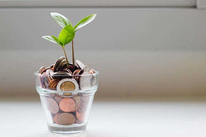 leafy green plant sprouting from glass jar of coins