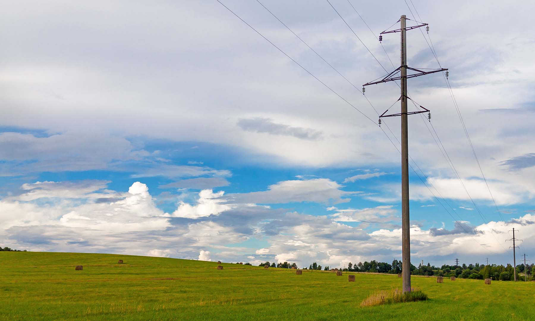 Electricity powerlines in a grassy field