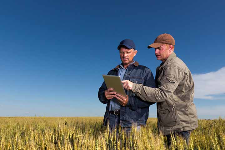 two farmers in open field discussing plans using tablet