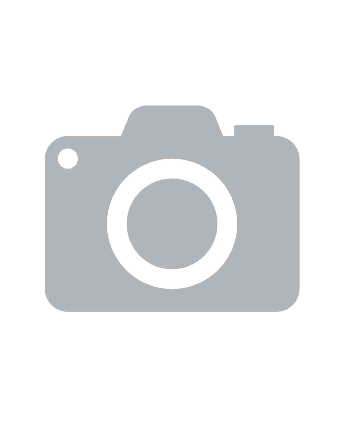Placeholder icon for photo